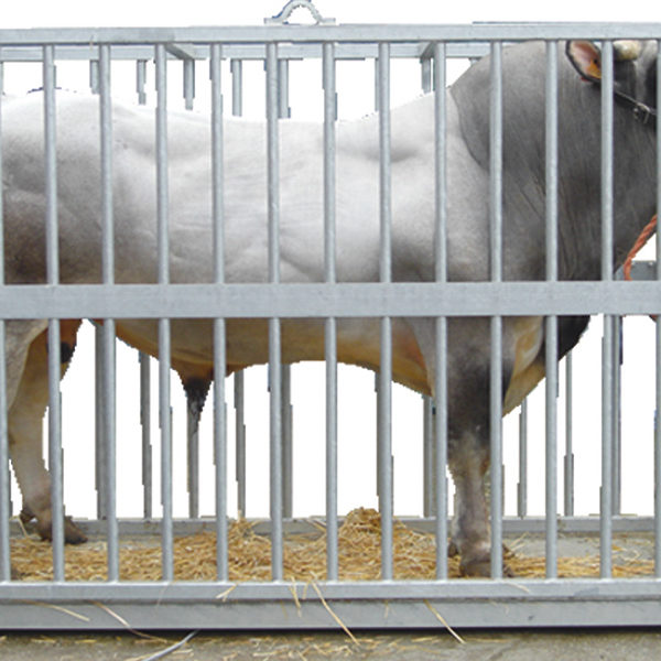 TRUCK SCALE / WEIGHBRIDGE Digital truck scale supplier in Bangladesh